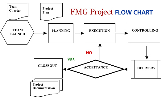 FMG Project Flow Chart